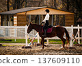 Equestrian rider woman in black riding gear sits on brown horse with saddle in outdoor arena, wooden stable and white fence visible in the background 137609110