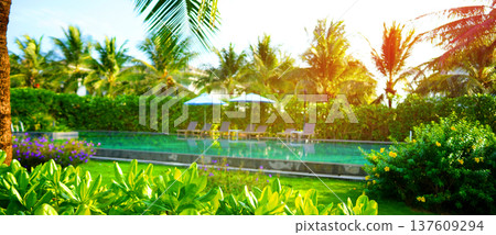 Tropical landscape resort background. Swimming pool with sun loungers with palm trees on villa. Tropical landscape resort background. Swimming pool with sun loungers with palm trees on villa. 137609294