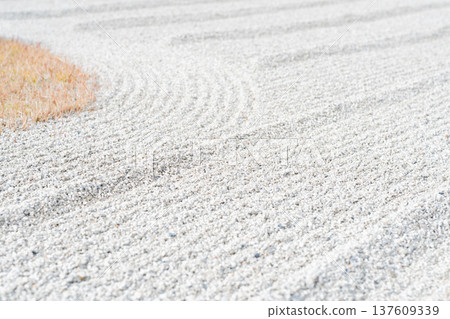 變白的水 137609339