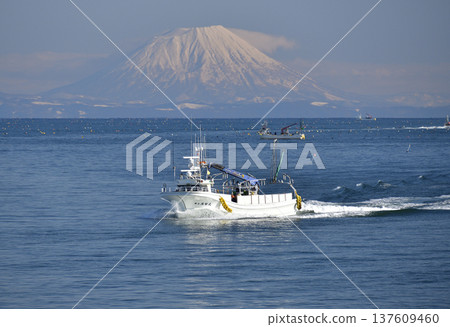 初春時節，在北海道八雲町的風花灣拍攝羊蹄山景色和來往的漁船。 137609460