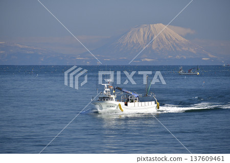 初春時節，在北海道八雲町的風花灣拍攝羊蹄山景色和來往的漁船。 137609461