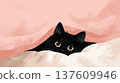 Black cat peeking from under blanket 137609946