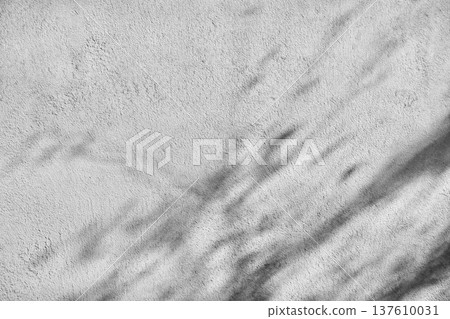 Exterior wall with shadow of tree Exterior wall with shadow of tree 137610031