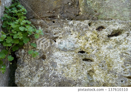 Weathered block wall texture Weathered block wall texture 137610310