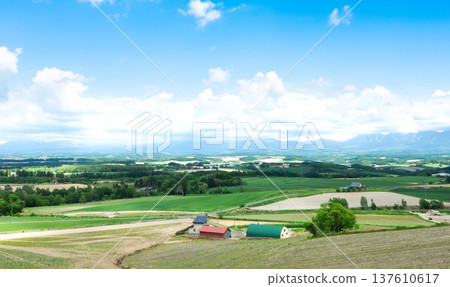 Blue skies and the magnificent scenery around Biei, Hokkaido in early summer Blue skies and the magnificent scenery around Biei, Hokkaido in early summer 137610617