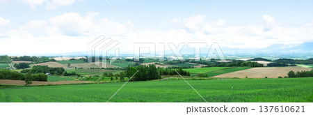 Blue skies and the magnificent scenery around Biei, Hokkaido in early summer Blue skies and the magnificent scenery around Biei, Hokkaido in early summer 137610621