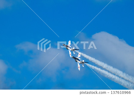 藍天藍脈衝的希望 137610966