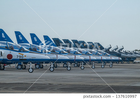 藍天藍脈衝的希望 137610997