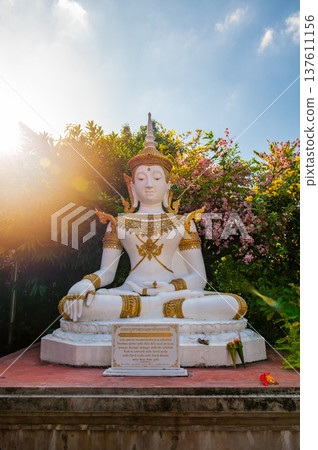 White Buddha statue surrounded by pink roses with warm sunset light from side. Peaceful spiritual scene in garden setting symbolizing meditation, tranquility and harmony in nature. 137611156