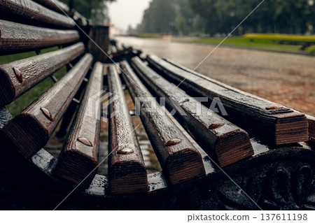 Wet Wooden Bench After Rain in City Park 137611198