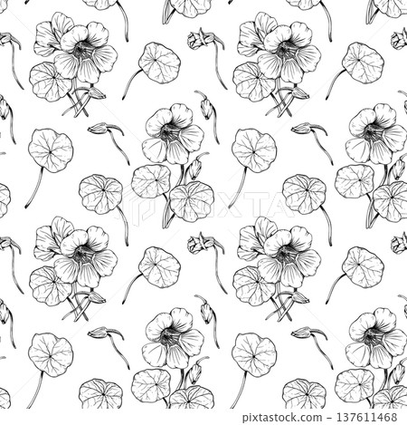 Seamless pattern with hand drawn botanical illustrations of nasturtium flowers, buds, and leaves. Floral sketch on white background. Vector line art for textile, wallpaper, wrapping paper. Seamless pattern with hand drawn botanical illustrations of nasturtium flowers, buds, and leaves. Floral sketch on white background. Vector line art for textile, wallpaper, wrapping paper. 137611468