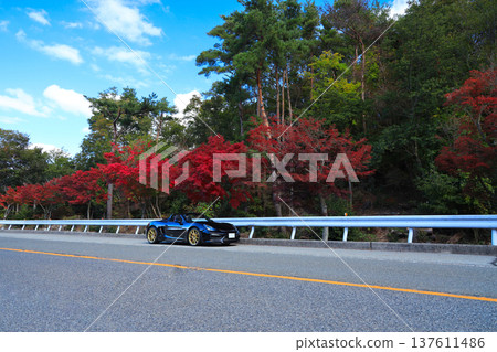 Autumn leaves and a black convertible Autumn leaves and a black convertible 137611486