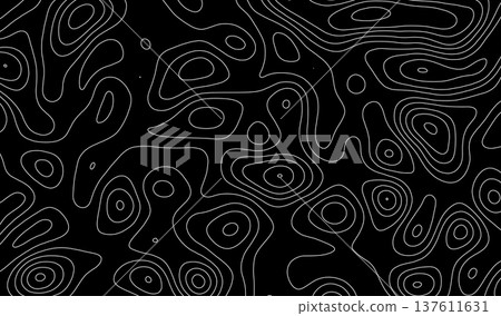 Map contour line and topography abstract relief with topographic vector terrain. Cartography land background and grid landscape outline with geographic mountain texture. Map contour line and topography abstract relief with topographic vector terrain. Cartography land background and grid landscape outline with geographic mountain texture. 137611631
