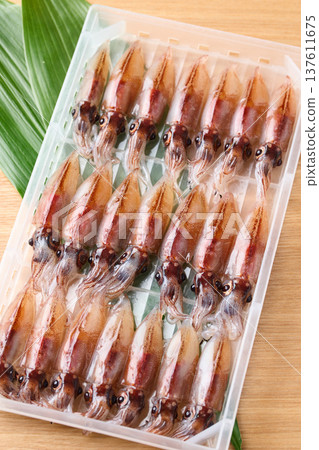 一排生螢火魷魚擺放在盒子裡 一排生螢火魷魚擺放在盒子裡 137611675