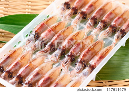 Raw firefly squid lined up in a case 137611679