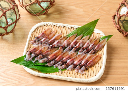 Raw firefly squid 137611691