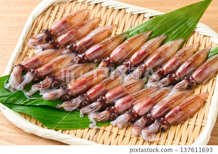 Raw firefly squid 137611693