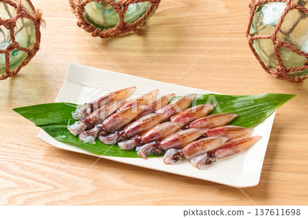 原料螢火蟲魷魚 原料螢火蟲魷魚 137611698