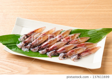 原料螢火蟲魷魚 原料螢火蟲魷魚 137611699