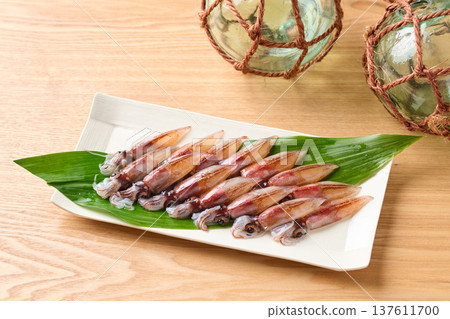 Raw firefly squid Raw firefly squid 137611700