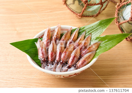 原料螢火蟲魷魚 原料螢火蟲魷魚 137611704