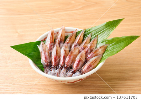 原料螢火蟲魷魚 原料螢火蟲魷魚 137611705