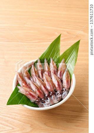 原料螢火蟲魷魚 原料螢火蟲魷魚 137611710