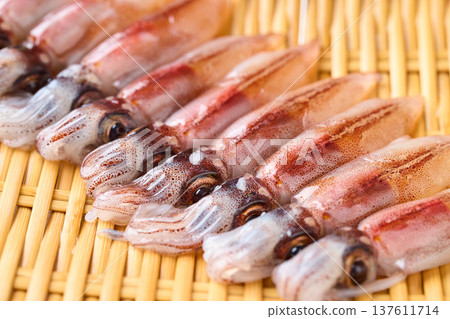 原料螢火蟲魷魚 原料螢火蟲魷魚 137611714