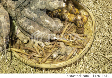 Freshly harvested fingerroot, ginger, and galangal rhizomes in a bamboo wicker basket on a straw background. Authentic organic farming and herbal medicine concept 137611810