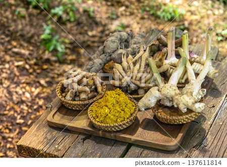 Assortment of fresh Thai herbal rhizomes including turmeric, galangal, and fingerroot on a wooden tray in a garden setting. Perfect for cooking and traditional medicine themes 137611814