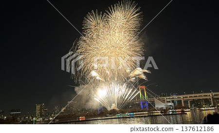 Fireworks coloring summer night sky Fireworks coloring summer night sky 137612186