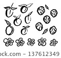 Set of pickled and fresh plums with leaves and flowers. Ink black hand drawn line illustration on white background. 137612349