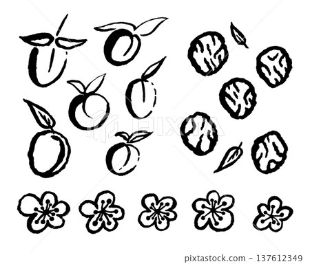 Set of pickled and fresh plums with leaves and flowers. Ink black hand drawn line illustration on white background. Set of pickled and fresh plums with leaves and flowers. Ink black hand drawn line illustration on white background. 137612349