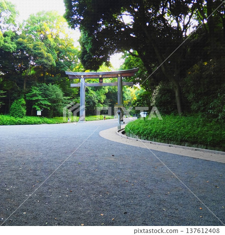 The shrine approach and large torii gate exude a sense of tranquility in the heart of the city. 137612408