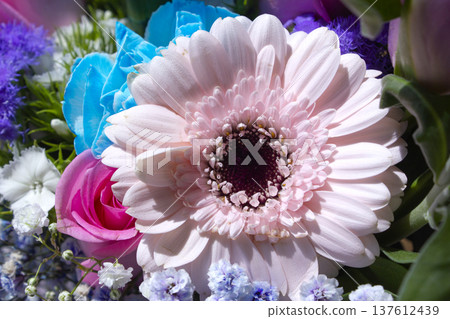 Gerbera close-up in a bouquet Gerbera close-up in a bouquet 137612439
