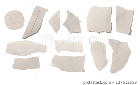 torn paper fragments with irregular edges, soft texture, set. Abstract collection of organic paper 137612559