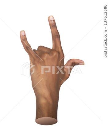 Hand gesture showing horn rock sign with raised index finger and pinky in cool concert punk style, 137612596