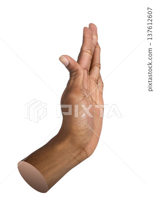 Hand gesture with open palm raised in high five greeting, isolated on white. Human body part shown Hand gesture with open palm raised in high five greeting, isolated on white. Human body part shown 137612607