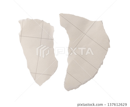 torn beige paper fragments with printed guide lines isolated on white background. Soft matte torn beige paper fragments with printed guide lines isolated on white background. Soft matte 137612629