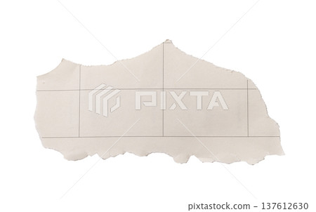 torn paper fragment with printed grid lines isolated on white background. Soft matte surface and 137612630