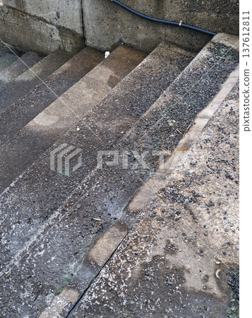 Close-up of wet stairs near the harbor 137612811