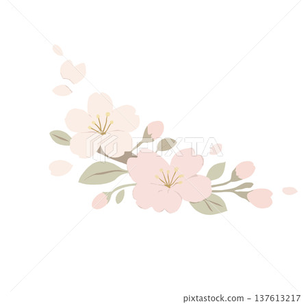 櫻花角插圖 137613217