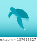 Sea Turtle Silhouette Swimming Underwater 137613327