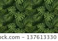 Botanical background pattern with tropical plant leaves 137613330
