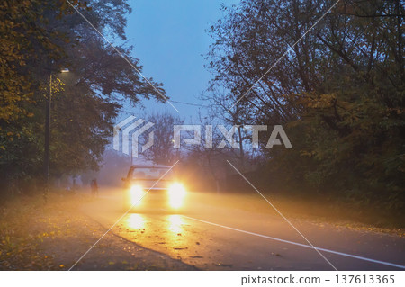 road in the evening, autumn, fog, car on the road, road in the evening, autumn, fog, car on the road, 137613365