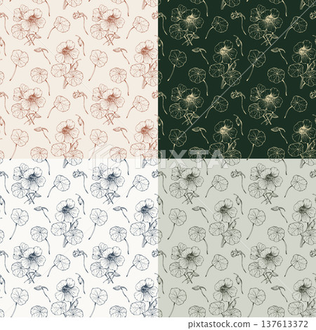 Set of 4 seamless patterns hand drawn botanical illustrations of nasturtium flowers and leaves. Line art collection in various color palettes, terracotta, forest green, classic blue, sage olive Set of 4 seamless patterns hand drawn botanical illustrations of nasturtium flowers and leaves. Line art collection in various color palettes, terracotta, forest green, classic blue, sage olive 137613372