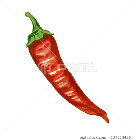 Red cayenne pepper, hand-drawn in watercolor and isolated on a white background. A hot spice for culinary design, menu design, packaging, recipes, and cooking. Red cayenne pepper, hand-drawn in watercolor and isolated on a white background. A hot spice for culinary design, menu design, packaging, recipes, and cooking. 137613456