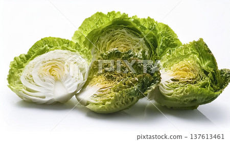 白色背景上的生菜 | 切碎的葉菜類 137613461