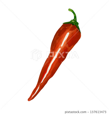 A red Romano pepper, hand-painted in watercolor and isolated on a white background. Sweet pepper for healthy food design, menu illustrations, recipes, and food packaging. A red Romano pepper, hand-painted in watercolor and isolated on a white background. Sweet pepper for healthy food design, menu illustrations, recipes, and food packaging. 137613473