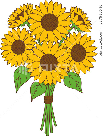 Vibrant Sunflower Bouquet Illustration with Yellow Petals and Green Leaves for Floral Design Vibrant Sunflower Bouquet Illustration with Yellow Petals and Green Leaves for Floral Design 137613586
